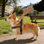 Annchwool No Pull Dog Harness with Front Clip and Easy Control Handle-Belly & Chest Adjustable Dog Harness and Leash Set for Medium Large Dogs-Heavy Duty Vest Harnesses Easy for Walking(Black,M)