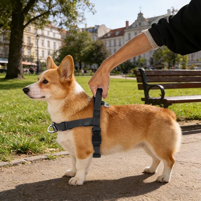 Annchwool No Pull Dog Harness with Front Clip and Easy Control Handle-Belly & Chest Adjustable Dog Harness and Leash Set for Medium Large Dogs-Heavy Duty Vest Harnesses Easy for Walking(Black,L)