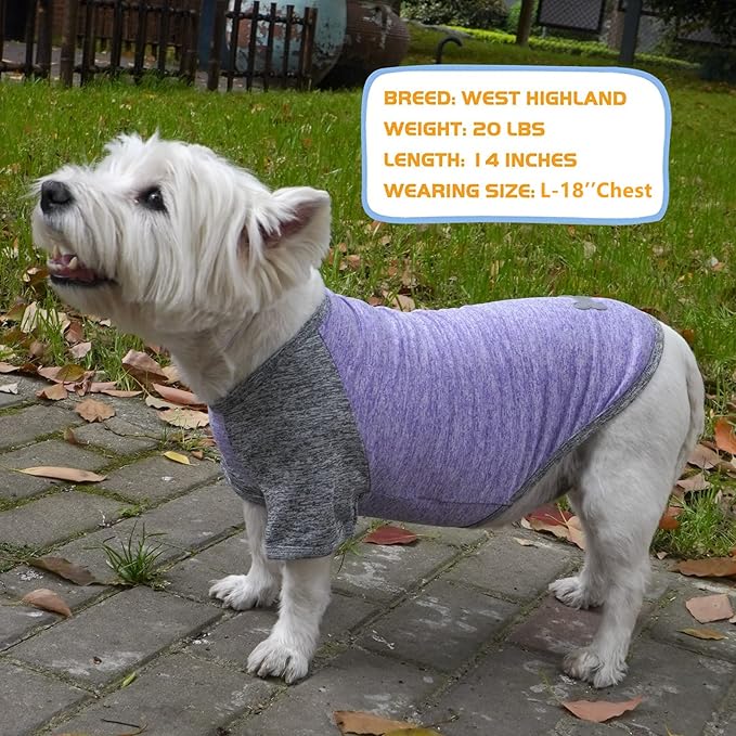KYEESE 2Pack Dog Shirt with Sleeves, Lightweight Sun Protection Dog T Shirts for Large Dogs, Breathable Pet Tank Top Reflective Dogs Clothes for Summer Outdoor Walking, Purple+Grey, 3XL