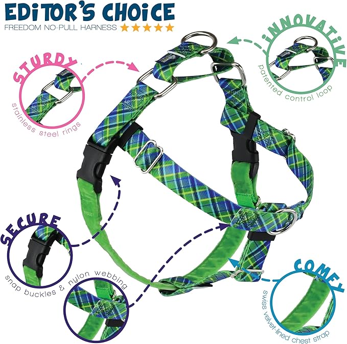 2 Hounds Design - Freedom No-Pull Harness & Training Leash in Green and Blue | Dual Leash Loops, No Pulling on Walks | Lined to Prevent Chaffing | for Large Sized Dogs (Size L, Chest 28”- 32”)