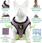 EcoBark Teacup Dog Harness - Step in Dog Harness - Soft Luxury Mesh - Mini Body Halter for Toy Breeds and Puppies - Halter Vest 3 pounds lbs (XXXS, Lilac Pink)