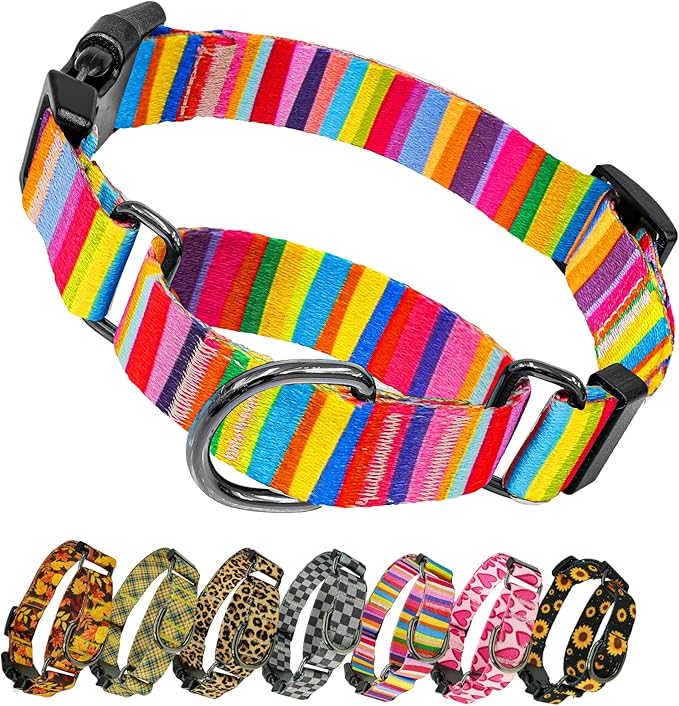Kazazoo Martingale Collar for Dogs with Quick Release Buckle Adjustable Soft Durable Dog Collar for Small Medium Large No Pull Training Dog Collars-Rainbow L