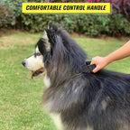Tactical Dog Collar with Handle - Military Adjustable Dog Training Collar Soft Nylon and Heavy Duty Metal Buckle for Medium Large Dogs - with Patch (Green with Patch, Medium)
