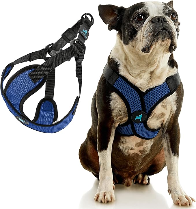 Gooby Comfort X Step in Lite Dog Harness - Choke Free, Escape Free with Light Breathable Mesh - Step in Dog Harness for Small Dogs Only - Quick Release Buckle, Metal D-Rings - Blue, Large