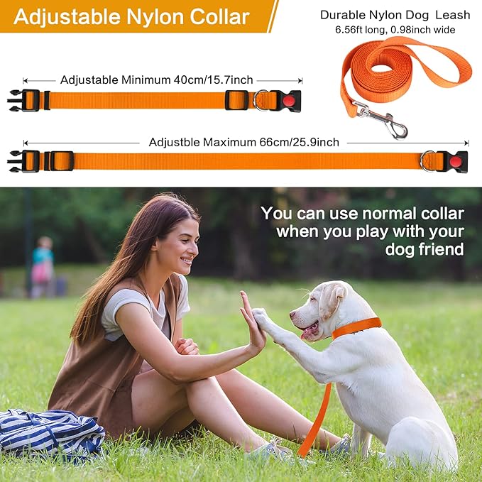 Classic Pets Dog Choke Pinch Collar with Nylon Comfort Tips and Quick Release Snap Buckle