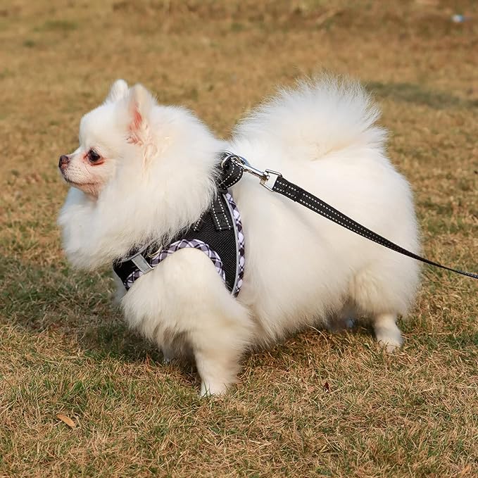 AMTOR Small Dog Harness with Leash Set, No Escape Easy Walk Puppy Harnesses for Training Walking, Step-in Reflective Soft Dogs Vest for XS S Medium Extra-Small Large Sized Dog(Black/GreyWhite,Small)