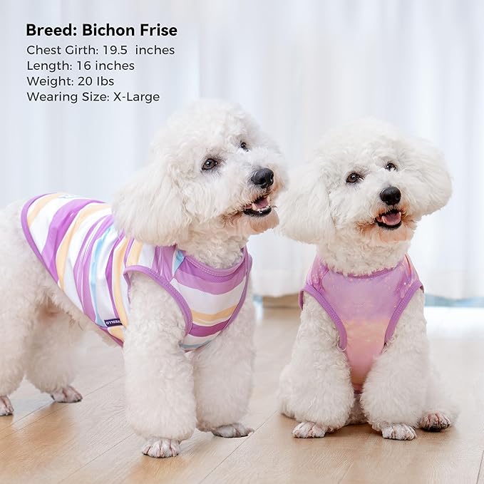 cyeollo 2pack Dog Shirt Cooling Breathable Sleeveless Summer Clothes for Dogs, Intant Cool T Shirts for Small Dogs, Purple M