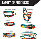 Wolfgang Heavy Duty Martingale Dog Collar with Quick Release Nylon Buckle for Walking & Training, ShatterShapes Print, Large