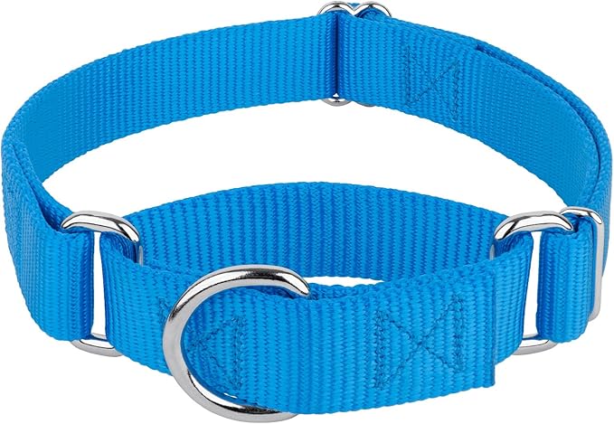 Country Brook Petz - Martingale Dog Collar - Heavy-Duty Training Collar with No Buckle - Service Dog Collar for All Pups - 10+ Cool Colors (Ice Blue, 5/8 Inch, Extra Small)