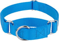 Country Brook Petz - Martingale Dog Collar - Heavy-Duty Training Collar with No Buckle - Service Dog Collar for All Pups - 10+ Cool Colors (Ice Blue, 1 Inch, Medium)
