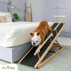 Dog ramp for Bed - PRIORPET Birchwood Adjustable Ramp for Dogs to Get on Bed: Dog ramps for High Beds up to 37 Inches – Foldable Ramp, Anti-Slip Grip & Safety Rails, Small Dogs Up to 120lbs – Natural