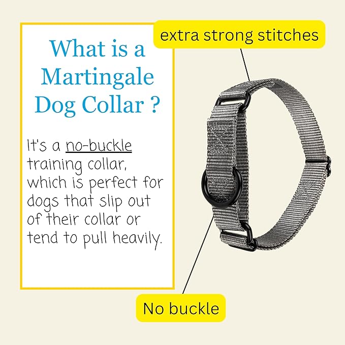 Country Brook Petz - Martingale Dog Collar - Heavy-Duty Training Collar with No Buckle - Service Dog Collar for All Pups - 10+ Cool Colors (Charcoal, 3/4 Inch, Small)