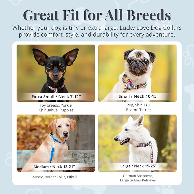 Lucky Love Dog - Adjustable Dog Collar with Easy Click Buckle for Small Dogs, Durable, & Comfortable for Male & Female Dogs, Pet Collar for Puppies & Adult Ones - Penny, XS