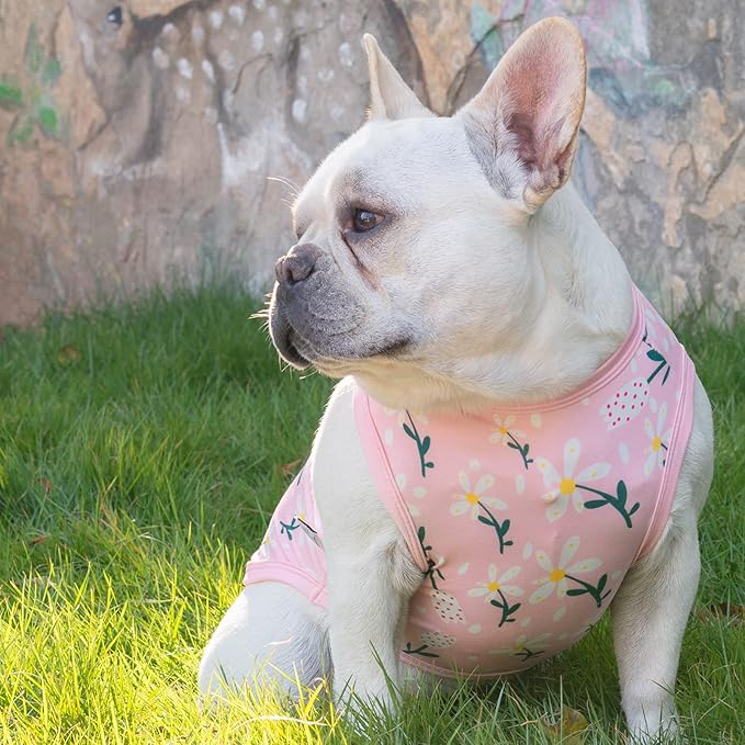 CuteBone Dog Shirts 2-Pack Soft Pet Clothes Breathable Summer Vest for Small Puppy and Stretchy Cat Apparel 2BX06L