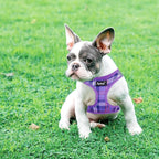 PUPTECK Dog Harness and Leash Set for Small Medium Dogs No Pull Step-in Soft Mesh Puppy Cat Vest Harnesses Reflective at Night, Plaid Pattern Purple M