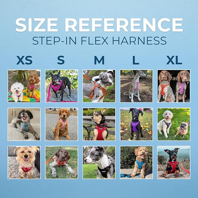 Best Pet Supplies Voyager Mesh Dog Breathable Harness Reflective Stitching, All Weather Adjustable for Walking Training, or Running - Heavy Duty & Durable, Harness (Orange), L