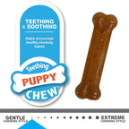 Nylabone New Puppy Starter Kit, Puppy Teething Toys, Chew Bones for Puppies, Peanut Butter & Chicken Flavor, X-Small Dogs - Up to 15 lbs., 2 Pack