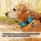 Tactical Military Dog Collar - Adjustable Nylon, Heavy Duty Metal Buckle with Handle for Dog Training, with Patches (Light Blue 1, L)