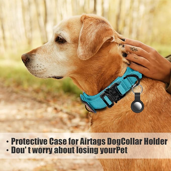 Tactical Military Dog Collar - Adjustable Nylon, Heavy Duty Metal Buckle with Handle for Dog Training, with Patches (Light Blue 1, L)