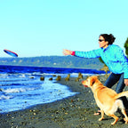 Chuckit! Paraflight Flying Disc Dog Toy - Water Floating Flyer - Durable Nylon Construction with Soft Rubber Edges - for Medium and Large Dogs - Size Large - 9.75" L x 9.75" W -,1 Count (Pack of 4)