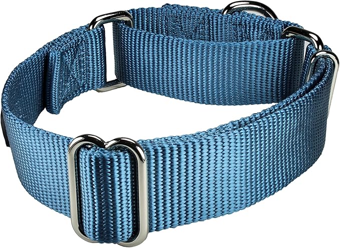 Mikivery Martingale Dog Collar Nylon Adjustable and Safety Training Colourful Comfortable Metal Buckle Pet Collars for Small Medium and Large Dogs(Haze,M)