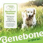 Benebone Medium 4-Pack Dog Toys for Aggressive Chewers – Durable Dog Bones, Made in USA – Dog Toys for Medium Dogs Under 60 lbs
