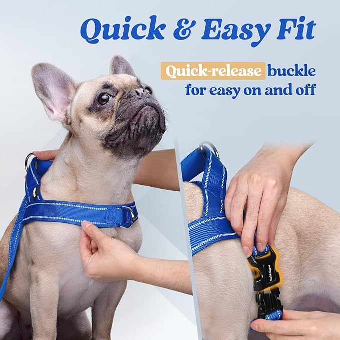 rabbitgoo Dog Harness No Pull, Quick Fit for Medium Sized Dog with Soft Padded Handle, Chest Adjustable Reflective Pet Vest, No Choke Escape Proof for Walking Training, Blue M