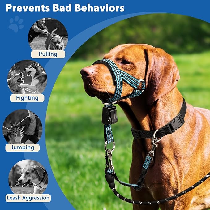BARKLESS No Pull Dog Head Collar for Gentle Training Walking, Soft Padded Head Halter with Collar Safety Clip, Comfortable Fit Muzzle Leash with Reflective Strap for Medium Large Dog (Blue, M)