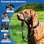 BARKLESS No Pull Dog Head Collar for Gentle Training Walking, Soft Padded Head Halter with Collar Safety Clip, Comfortable Fit Muzzle Leash with Reflective Strap for Medium Large Dog (Blue, M)