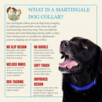 Country Brook Petz - Martingale Dog Collar - Heavy-Duty Training Collar with No Buckle - Service Dog Collar for All Pups - 10+ Cool Colors (Royal Blue, 5/8 Inch, Extra Small)