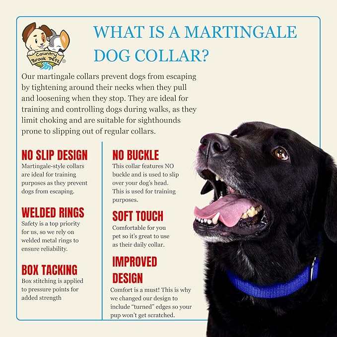 Country Brook Petz - Martingale Dog Collar - Heavy-Duty Training Collar with No Buckle - Service Dog Collar for All Pups - 10+ Cool Colors (Royal Blue, 1 Inch, Large)