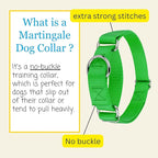 Country Brook Petz - Martingale Dog Collar - Heavy-Duty Training Collar with No Buckle - Service Dog Collar for All Pups - 10+ Cool Colors (Hot Green, 3/8 Inch, 3XS)