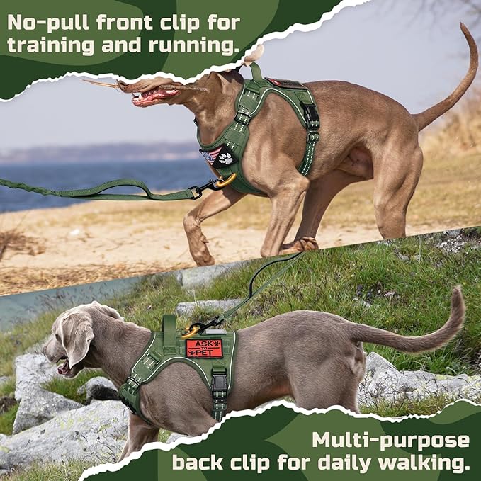 rabbitgoo Tactical Dog Harness Medium Sized Dog, No Pull Military Service Vest with Handle & Molle, Easy Control for Training Walking, Adjustable Reflective Straps, Green, M