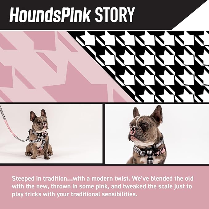 Wolfgang Heavy Duty Martingale Dog Collar with Quick Release Nylon Buckle for Walking & Training, HoundsPink Print, Small