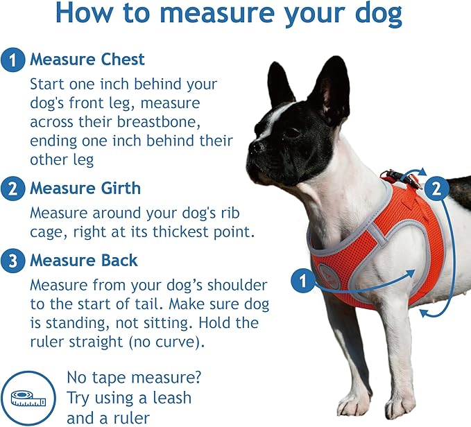 DOCO Dog Harness for Large Sized Dog - Athletica Adjustable, No Pull, No Choke, Puppy Vest Lightweight Air Mesh, Reflective, Puppy Essentials - Gray, X-Large (Chest 20.5"-22", Weight 20-25 lbs)