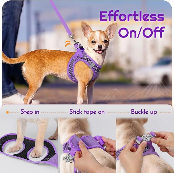 Eagloo Small Dog Harness and Leash Set, Step in Puppy Vest with Breathable Soft Mesh, Walking Reflective Pet Harness for Small Dogs, Purple, XXS