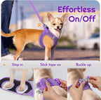 Eagloo Small Dog Harness and Leash Set, Step in Puppy Vest with Breathable Soft Mesh, Walking Reflective Pet Harness for Small Dogs, Purple, L