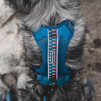 Wilderdog Lightweight Dog Harness with Reflective Straps - Small - Pacific Blue