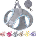 Petank Dog Harness for Small Medium Dogs No Pull, Puppy Harness and Leash Set for Walking, Running, Training, Small Dog Harness, Medium Dog Harness (Grey, S)