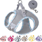 Petank Dog Harness for Small Medium Dogs No Pull, Puppy Harness and Leash Set for Walking, Running, Training, Small Dog Harness, Medium Dog Harness (Grey, XS)