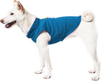 Gooby Fleece Vest Dog Sweater - Deep Blue, X-Large - Warm Pullover Fleece Dog Jacket with O-Ring Leash - Winter Small Dog Sweater Coat - Cold Weather Dog Clothes for Small Dogs Boy or Girl (Pack of 2)