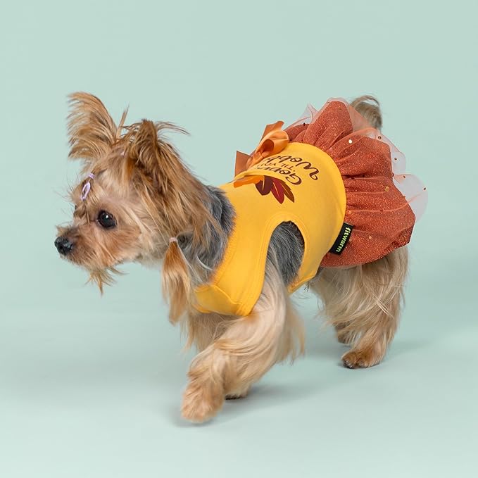 Fitwarm Gobble 'til You Wobble Dog Dress, Funny Thanksgiving Outfit for Small Dogs Girl, Festive Pet Clothes, Yellow, Orange, Large