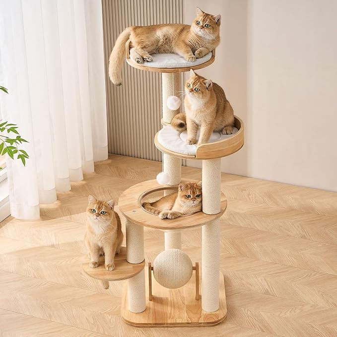 797Audio Modern Solid Wood Cat Tree Tower, 49" Tall Cat Tree with Sisal Scratching Posts for Adult Cats, Luxury Natural Oak Wooden Cat Tower,Aesthetic Multi-Level Cat Climbing Tree for Indoor Cat