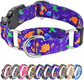 Hikiko Martingale Collar for Dogs Cute Dinosaur Dog Collar for Small Medium Large Dogs Comfortable Nylon Funny Dog Collars (Dinosaur,Large)
