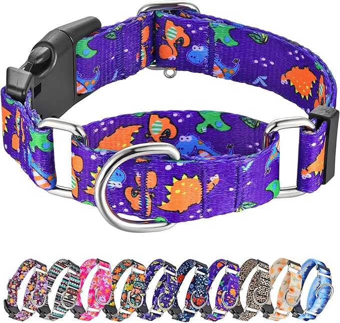 Hikiko Martingale Collar for Dogs Cute Dinosaur Dog Collar for Small Medium Large Dogs Comfortable Nylon Funny Dog Collars (Dinosaur,Large)