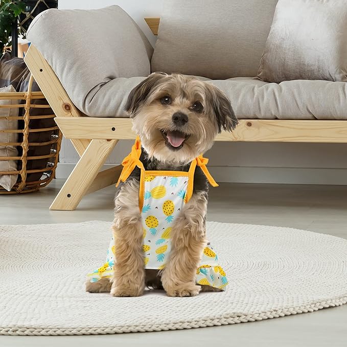 Frienda 4 Pieces Dog Clothes Set Include 2 Pcs Cute Pet Dress Lovely Dog Dress and 2 Pcs Breathable Pet T Shirt Puppy Clothes(Pineapple, Sunflower,X-Large)