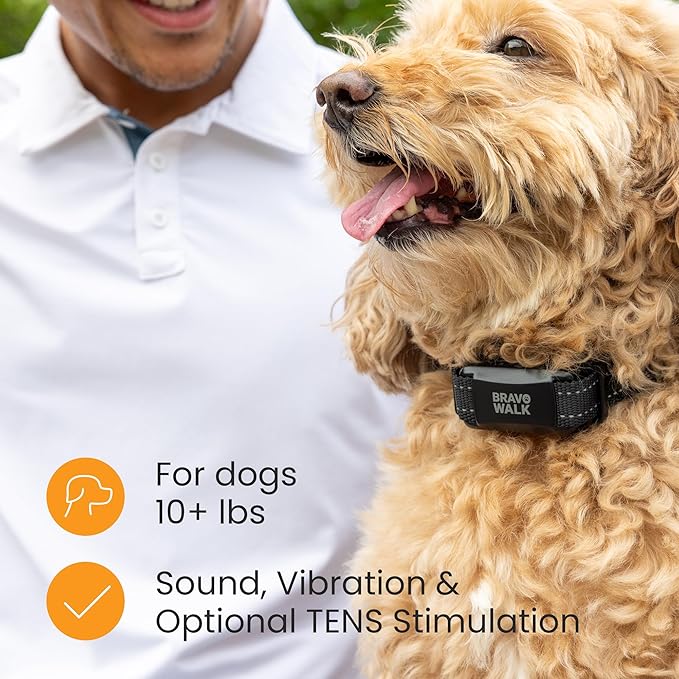 Pro No-Pull Dog Training Collar for Happier Walks, Rechargeable and Waterproof, Hands Free Device with No Remote Needed, Anti-Slip, and Safe-to-use for Medium and Large Breed Dogs (Medium)