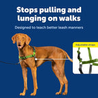 PetSafe Easy Walk No-Pull Dog Harness - The Ultimate Harness to Help Stop Pulling - Take Control & Teach Better Leash Manners - Helps Prevent Pets Pulling on Walks, Medium, Apple Green/Gray