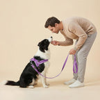 Didog Soft Flannel Padded Dog Vest Harness, No Pull/Quick Fit Reflective Dog Strap Harness, Easy for Training Walking (L:Chest 26-32", Purple)