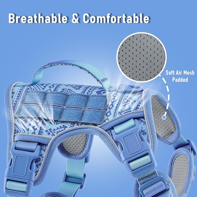 No-Pull Dog Harness for XS Dogs, Anti-Escape Easy Walking Reflective Adjustable Lightweight Dog Vest with Breathable Oxford Material, Easy On/Off with Neck Buckle, Blue XS